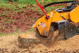 Reliable Kutztown, PA Tree Care Solutions